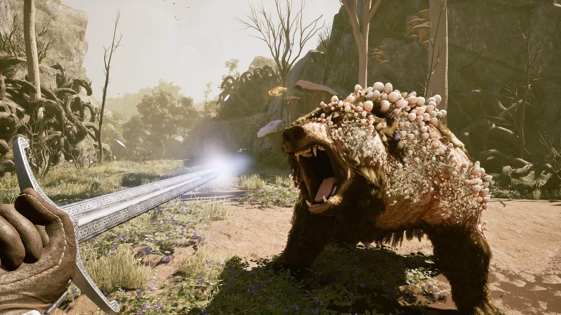 10-must-grab-early-game-items-in-avowed-for-a-powerful-start-image-1