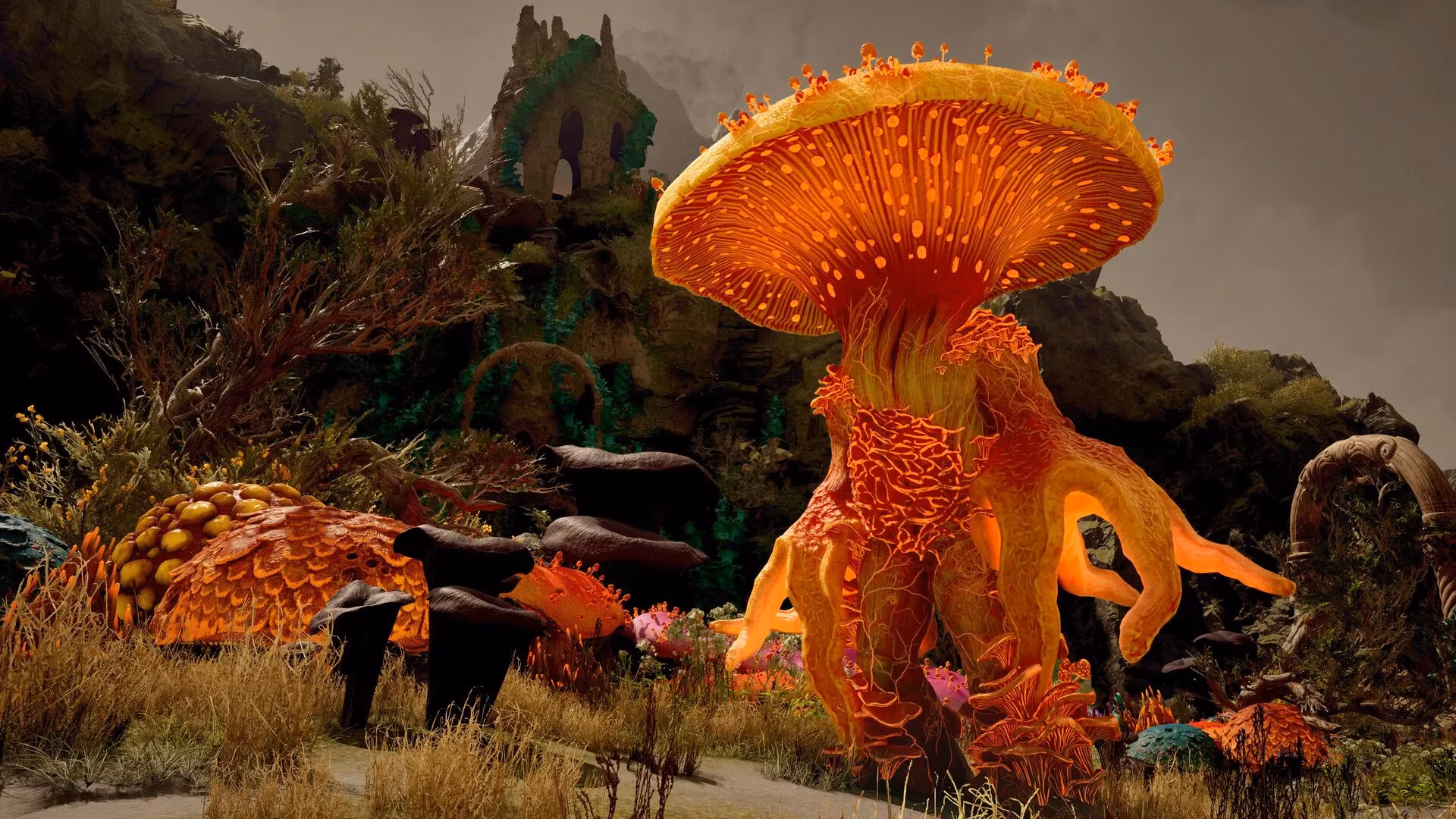 10-must-grab-early-game-items-in-avowed-for-a-powerful-start-image-5